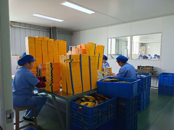 膝關節不適貼什么膏藥好?哪個牌子效果好? 膝關節不適貼什么膏藥好?哪個牌子效果好?